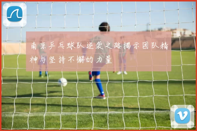 南京乒乓球队逆袭之路揭示团队精神与坚持不懈的力量