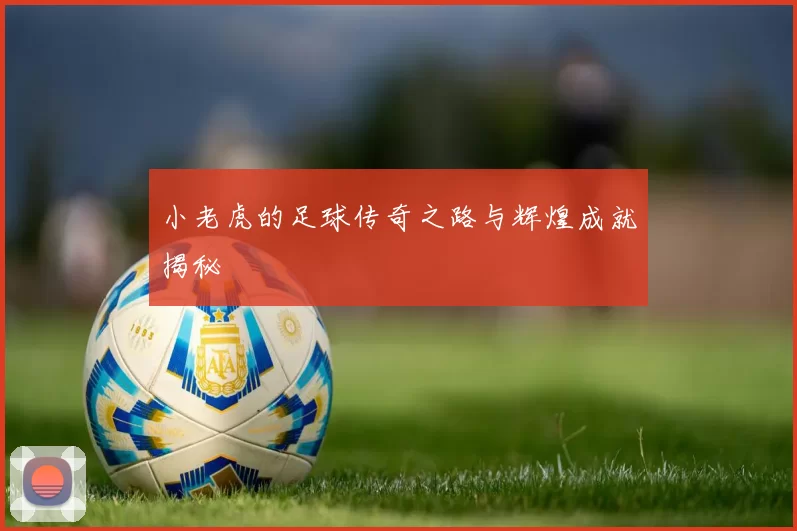小老虎的足球传奇之路与辉煌成就揭秘